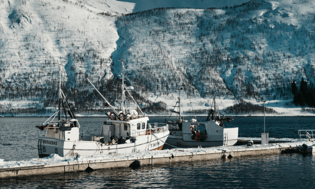 A fishing boat docked in a Norwegian harbor