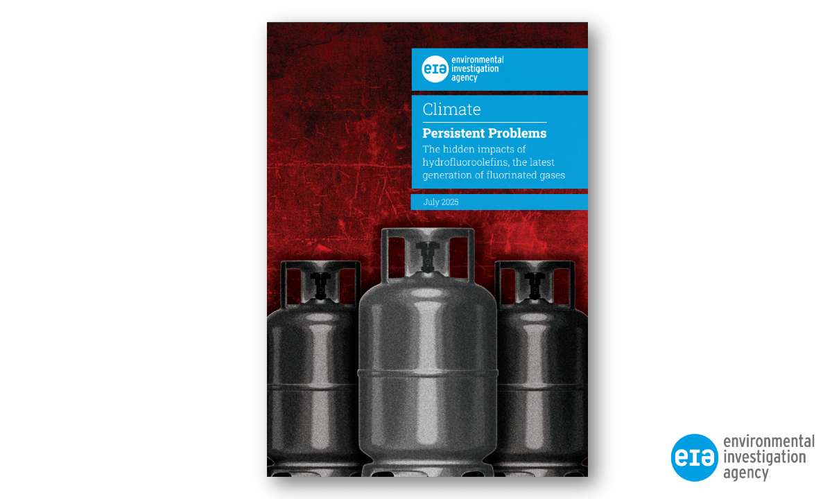 Persistent Problems: The hidden impacts of hydrofluoroolefins, the latest generation of fluorinated gases