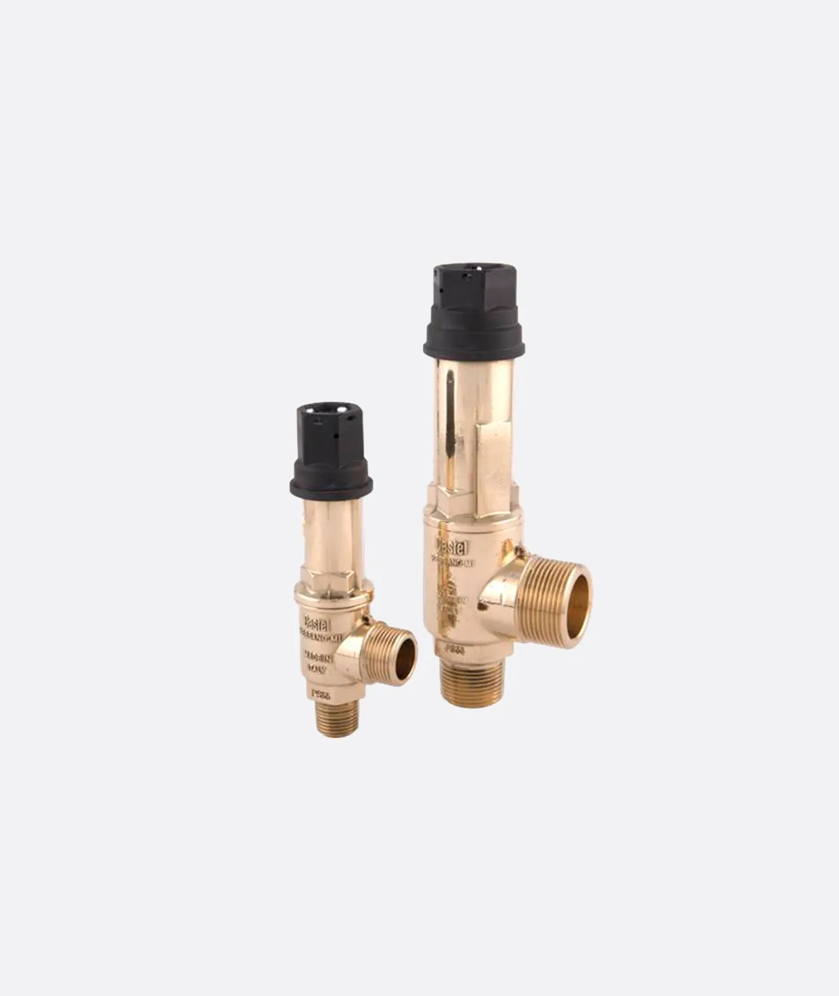 Castel 3030 safety valve