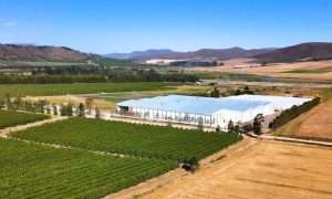 An image of Betko's Sunnyside farm controlled-atmosphere storage facility. The facility uses a 2.4MW ammonia refrigeration system.